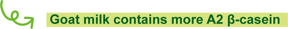 Goat milk contains more A2-type β-casein.