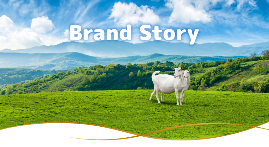 Brand Story